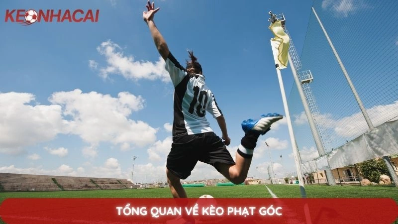 Kèo phạt góc là gì? Bí quyết soi kèo góc hiệu quả từ chuyên gia 2 Tổng quan về kèo phạt góc