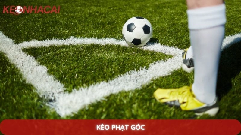 Kèo phạt góc là gì? Bí quyết soi kèo góc hiệu quả từ chuyên gia 1 kèo phạt góc