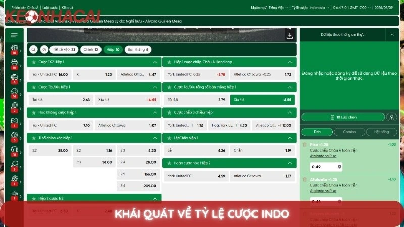 Tỷ lệ cược Indo - Cách đọc và quy đổi kèo Indonesia chuẩn xác 2 Khái quát về tỷ lệ cược Indo