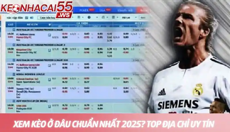 Xem kèo ở đâu chuẩn nhất 2026? Top địa chỉ uy tín được hé lộ 10 Xem kèo ở đâu chuẩn nhất - Top địa chỉ uy tín được hé lộ